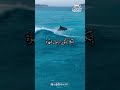 Calming Morning Quran Recitation for Spiritual Healing and Peace #Quran #HealingQuran