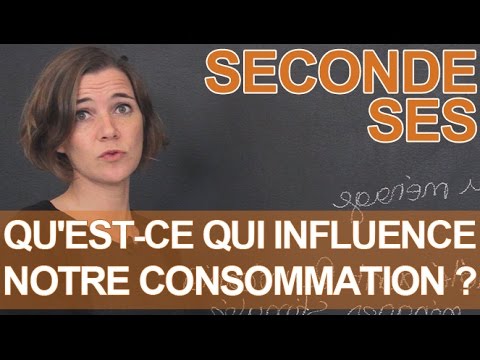 Vidéo: Facteurs Qui Influencent Les Attitudes Et Les Intentions De Consommation Des Enfants En Matière De Jeu: Leçons Pour La Recherche Sur La Prévention Des Méfaits Du Jeu, Les Politique