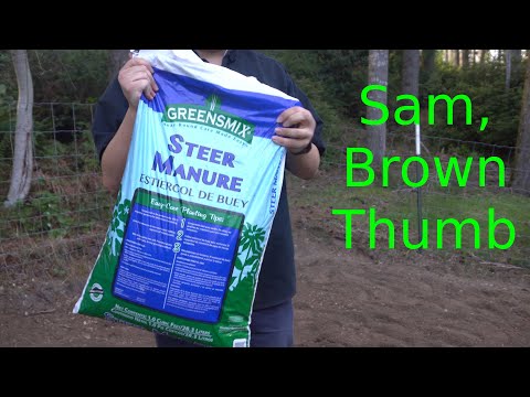 Amending the garden soil with sphagnum peat moss and steer manure