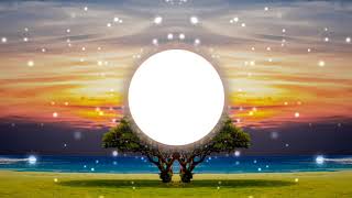 Markvard - Take a chance (Free download)