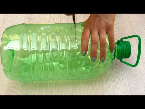 Video: Come e da cosa puoi creare un vaso di fiori con le tue mani