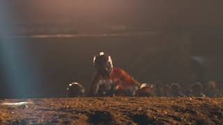 Bangalore Days Biking