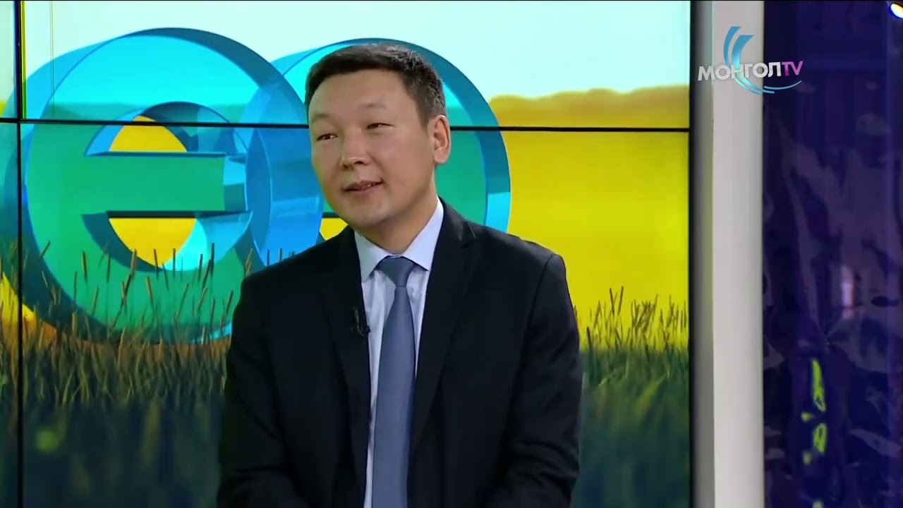 Татвар төлөгчийн эрх үүрэг, татварын өр хураах үйл ажиллагааны тухай./2025.04.25/