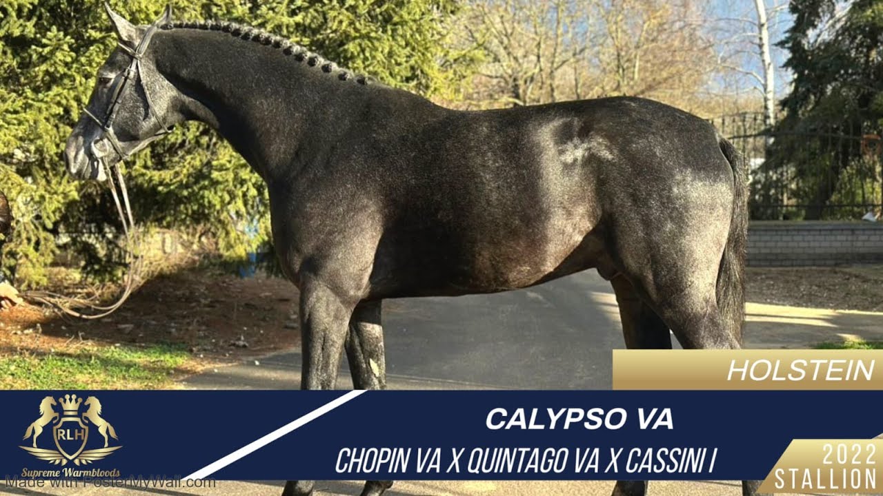 CALYPSO VA - Chopin VA X Quintago VA X Cassini I