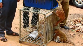 Breaking News Today Gno Rescued Abandoned Baby Atta..cked By Do.g,Ngo Come To Rescued New Abandoned