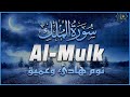 تلاوة هادئة ومريحة تسمعها قبل النوم سورة الملك القارئ علاء عقل   