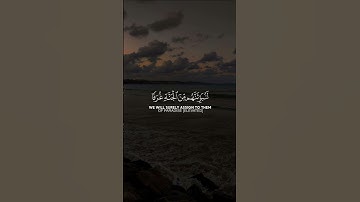 والذين أمنوا وعملوا الصالحات | القارئ عبد الرحمن مسعد | قرآن كريم ..♡