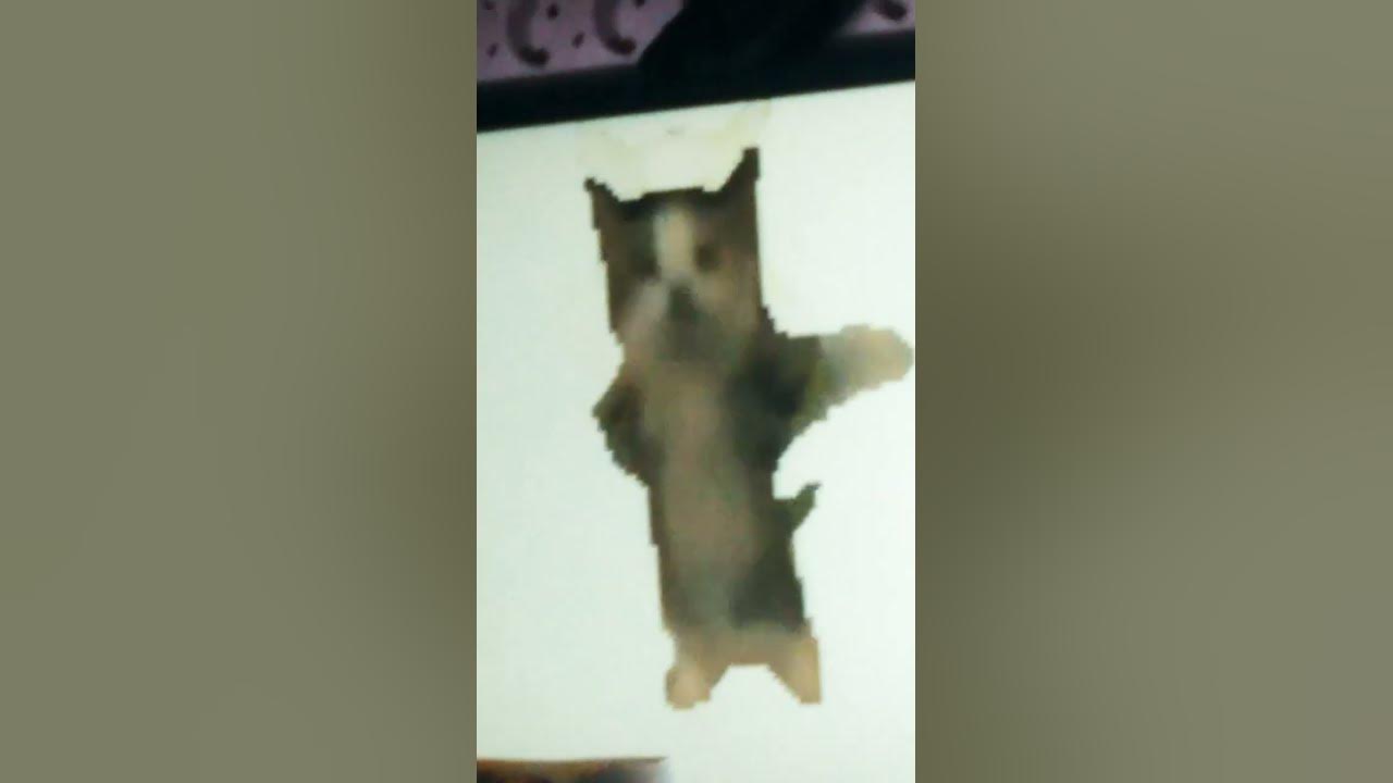 Держи меня за талию и так далее нажимаю на педали хлопок второй шагай ...