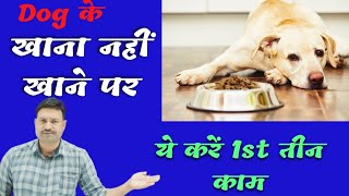 Dog Not Eating Food in Hindi  Ramawat Dog Care