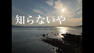 知らないや feat.初音ミク