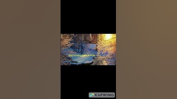 Stop Scrolling Relax A While