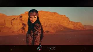 Sting & Enigma - Desert Love (KASIMOFF DIEEZ Remix)