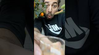 Cinnamon + Plants = Magic! creative explained Profile