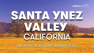 4K VIBRANT SCENERY THROUGH SANTA YNEZ VALLEY, CALIFORNIA | 1 HOUR OF NATURE BACKGROUND NOISE screenshot 4