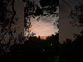 sunset#nature vedio#