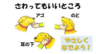 犬との正しいふれあい方 勉強編 新潟県下越動物保護管理センター Youtube