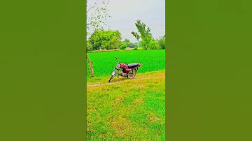 اللھم صلی علی محمد وعلی ال محمد کما صلیت علی ابراہیم وعلی ال ابراہیم انک حمید مجید 