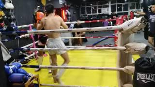 Wa ~ 老鼠仔 20161118(6)
