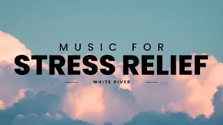 [60 mins] Stress Relief Music | Instrumental Music to Accompany You While Working
