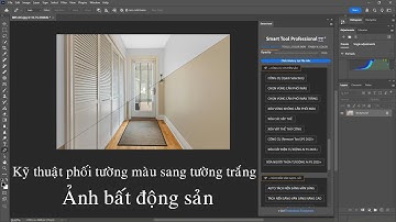 Phới màu sơn tường trắng.( Chỉnh sửa ảnh bất động sản)
