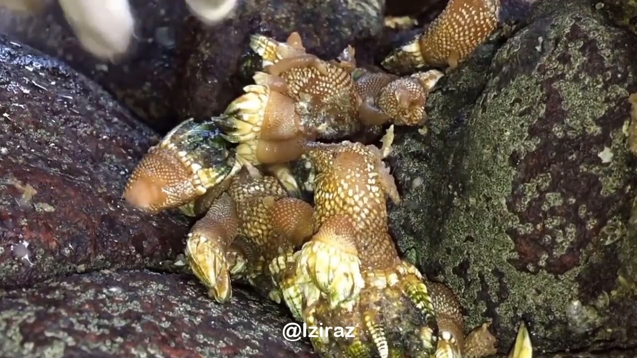 You Know What Is This Episode 792