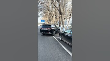 BYD Denza N9 Parallel Parks ITSELF PERFECTLY‼️ 😱🚗 This Tech Is ILLEGAL‼️