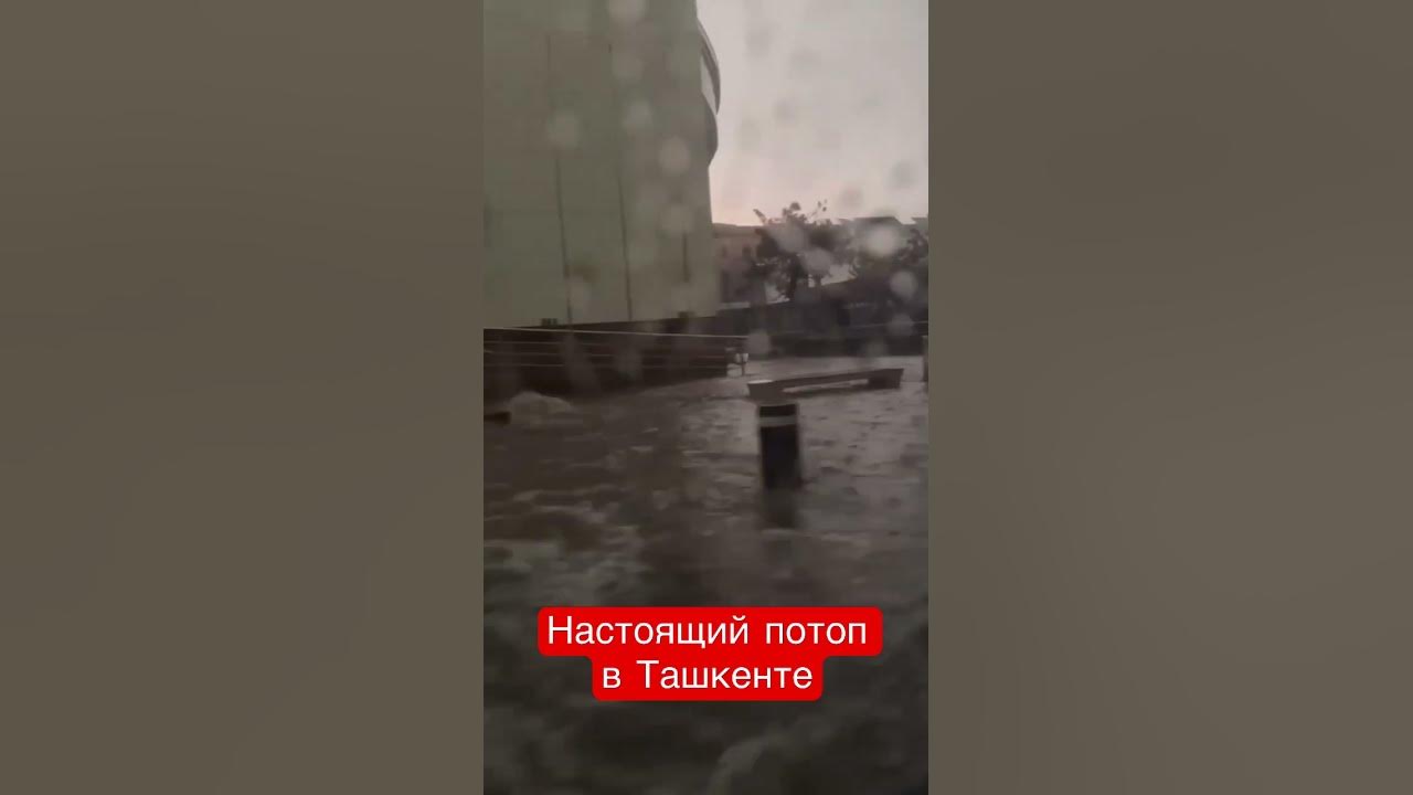 02 апреля 2025