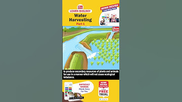 Water Harvesting | Part 1