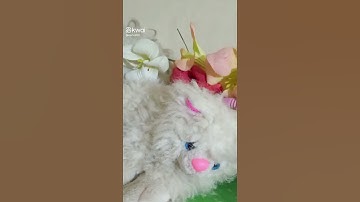 اذكار الصباح والمساء #اكسبلور #اذكار #اذكار_الصباح #ترند