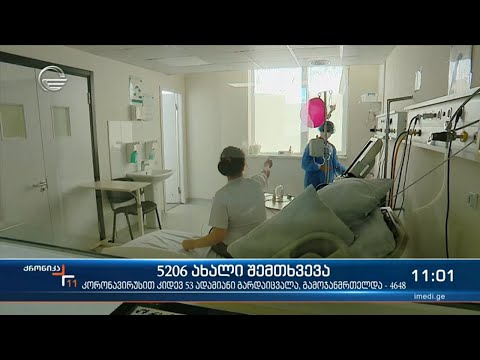 ქრონიკა 11:00 საათზე - 4 ნოემბერი, 2021 წელი