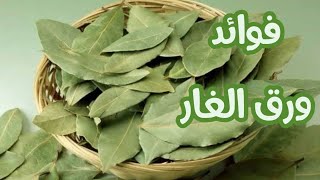 خلط ورق الغار [الرند] مع الماء مغلي يصنع المعجزات هذا ما سيحصل للجسم لن تتوقع النتيجة !