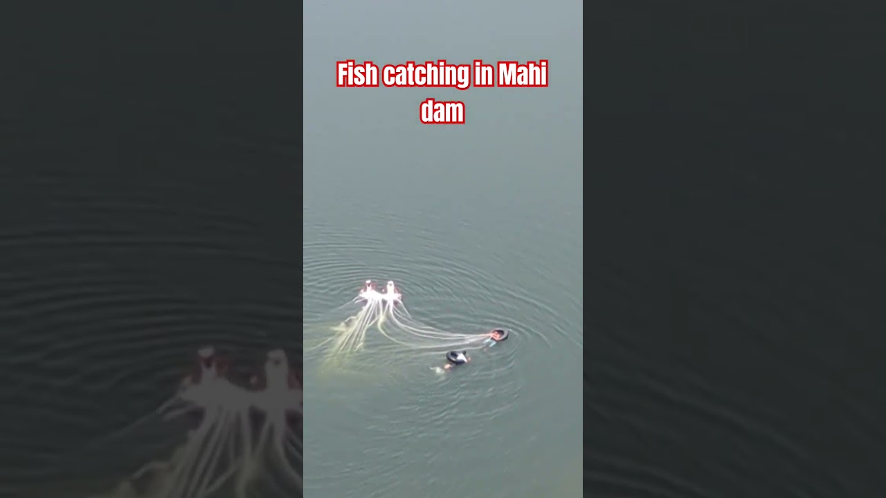 Fish catching at Mahi dam Banswara