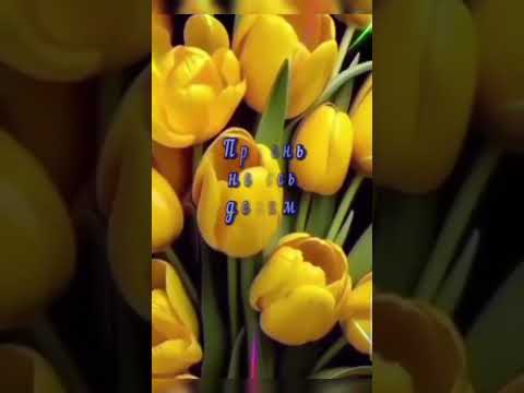 20 марта- Международный День Счастья! #открытки #счастливый #март