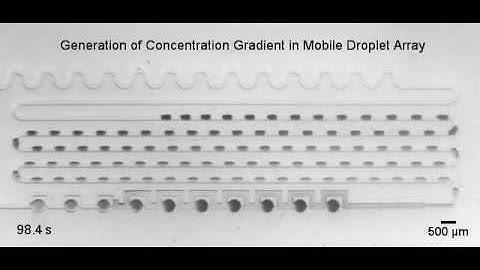 Concentration Gradients in Mobile Droplet Arrays