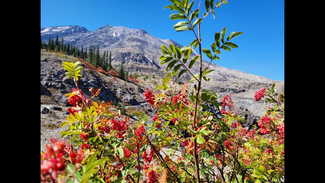 Ape Canyon Hike, Washington