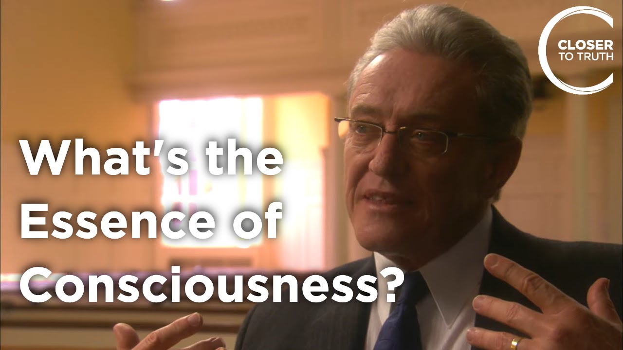 J. van Huyssteen - What's the Essence of Consciousness? - YouTube