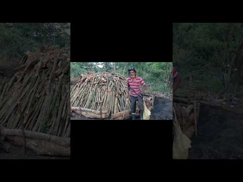 ELDERLY MAN BURNING COAL/HARD WORKING ELDER IN ST.ELIZABETH JAMAICA BURNING COAL 🇯🇲 #shorts