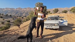 Download lagu A Loyal Dog 🐕❤️ | Babak Reunites with Khersi After Busy Days in the City 🏙️