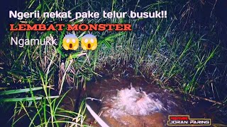 Cara makanya seperti ikan betok ternyata MONSTER | MANCING IKAN LEMBAT MALAM HARI #JP-127