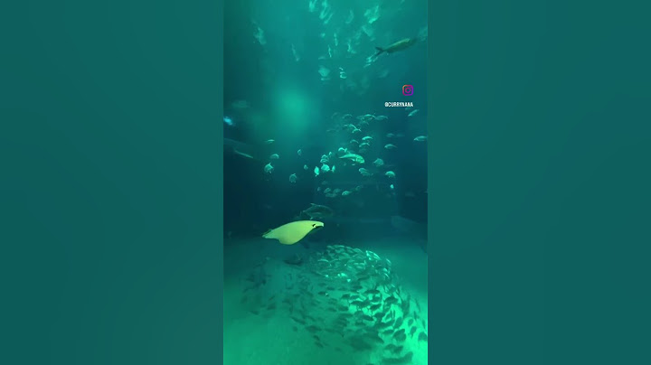 Come away with me to the #osaka aquarium #shorts