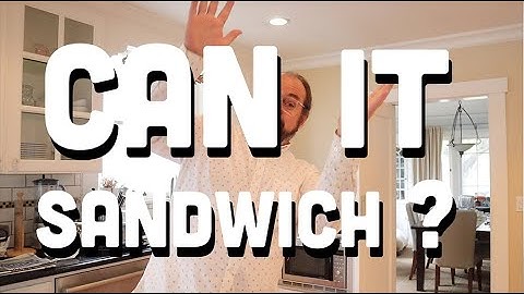 🥪 Can It Sandwich? Hal’s New York Buffalo Ranch/Trader Joe’s Everything But The Bagel potato chips