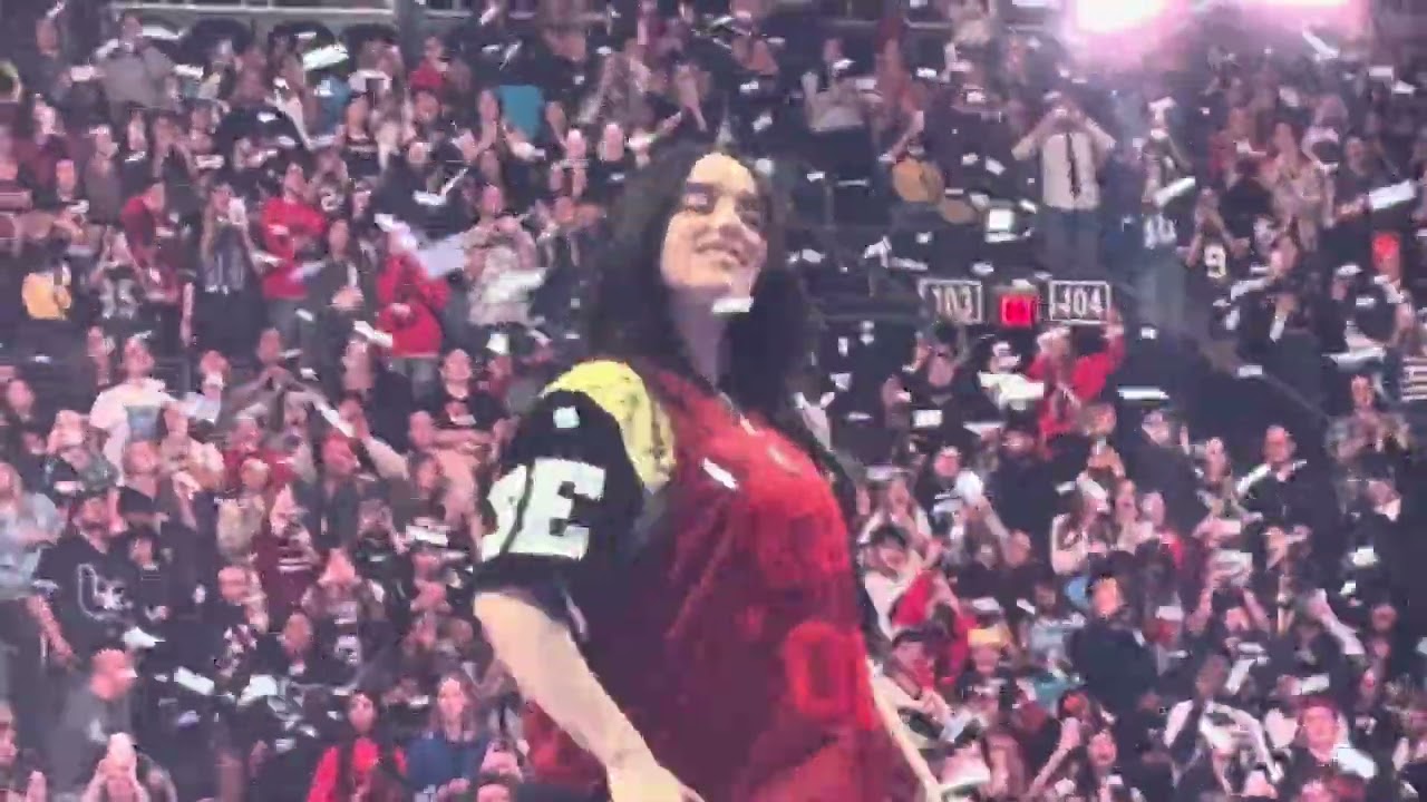 Billie Eilish phoenix 
