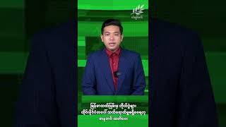 မြန်မာဘက်ခြမ်းမှ တိုက်ပွဲများ ထိုင်းနိုင်ငံအပေါ် သက်ရောက်မှုမရှိစေရဟု အနုတင် သတိပေး