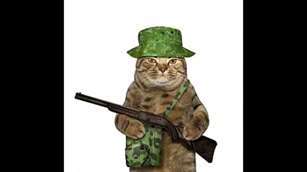 Животные в военной форме рисунки