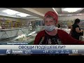 Овощи подешевели в Павлодарской области