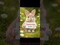 #subscribe #viral #like #share #stutas #cuteanimals