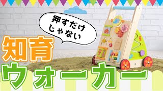 押すだけじゃない 知育ウォーカー ベビーファーストウォーカー