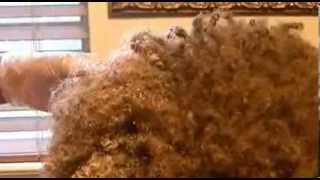 Natural Rough to Natural Smooth Hair #14 screenshot 1