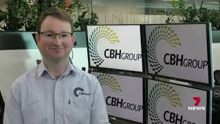 Cbh Weekly Grain Report - 7 News Regional Wa -14 July 2023