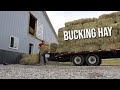 Buckin' Hay The Old Fashioned Way